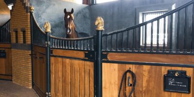 Sporthorses moved into their new majestic stables