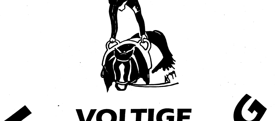 Logo_Voltige_Lutisburg
